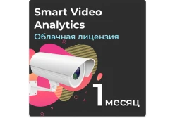 Облачная лицензия Smart Video Analytics на 1 месяц